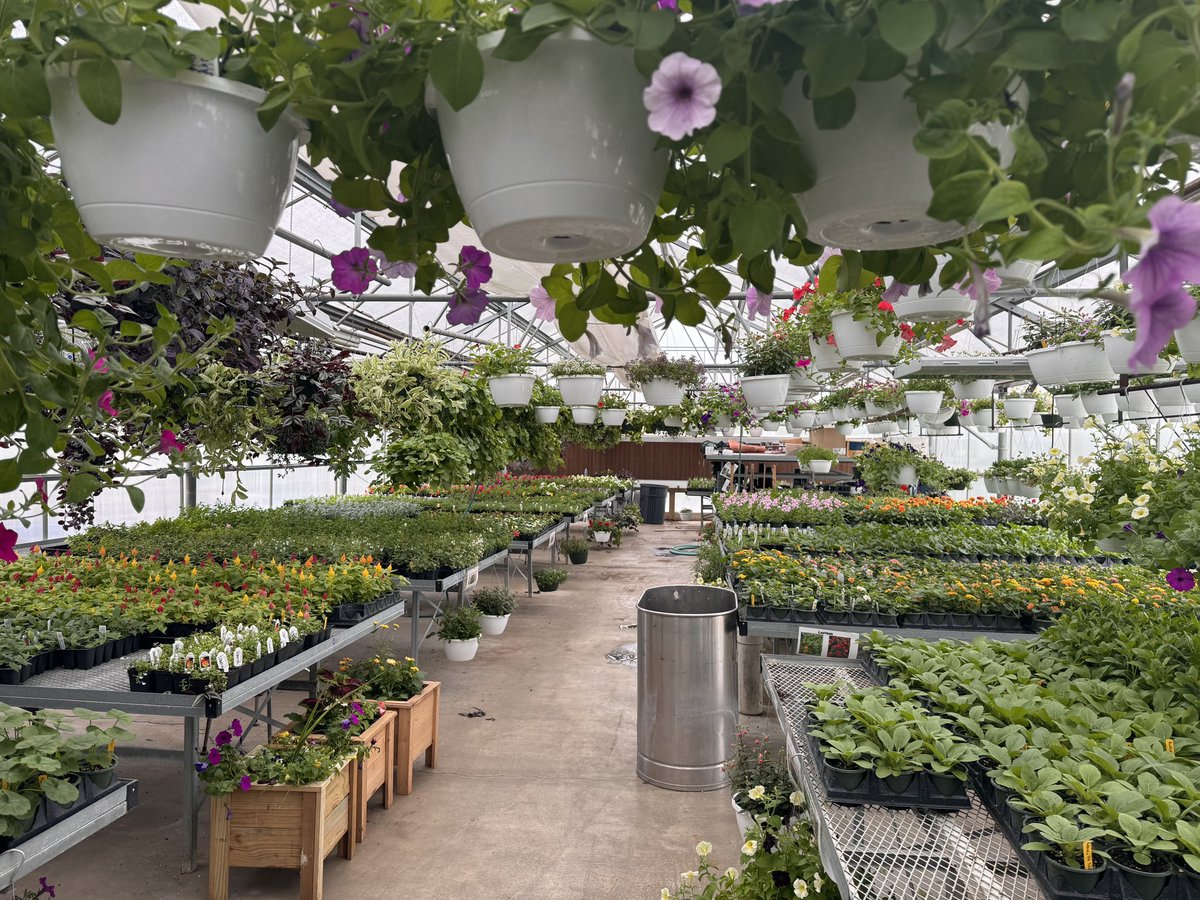 Make plans to join us tomorrow 9 am until 1 pm for the Bree’s Gift Plant Sale!