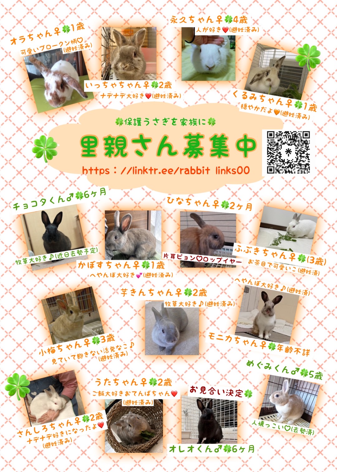 可愛い動物達の里親募集中！！