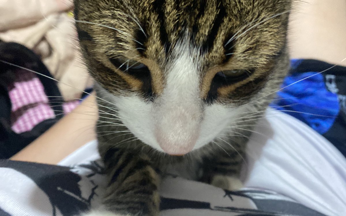 httpsraee's tweet image. los últimos días con él fueron los días donde más pegote estuvo conmigo