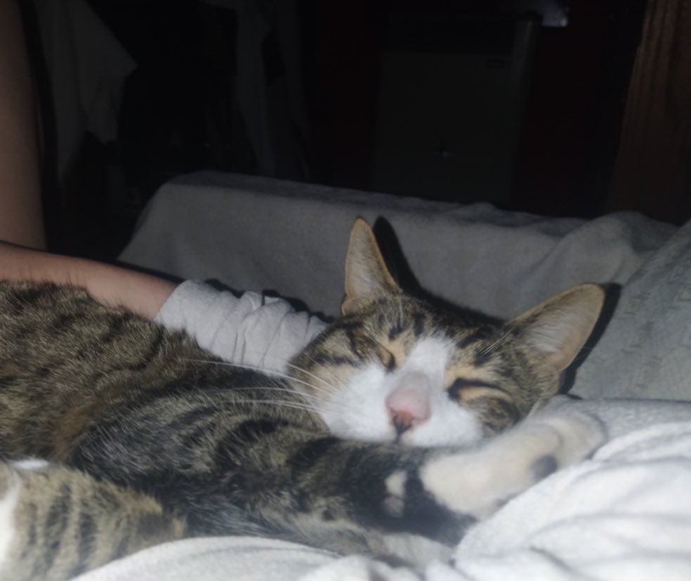 httpsraee's tweet image. los últimos días con él fueron los días donde más pegote estuvo conmigo