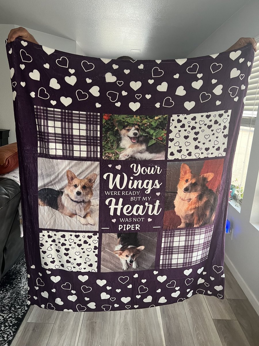whitemanML's tweet image. Archie is settling right in. My sisters and Mom got me this blanket in memory of Piper. It’s bittersweet, but I really like Archie being here. He is such a sweet laid back pup. #corgination #archiethecorgi #fosteringdogs #petloss