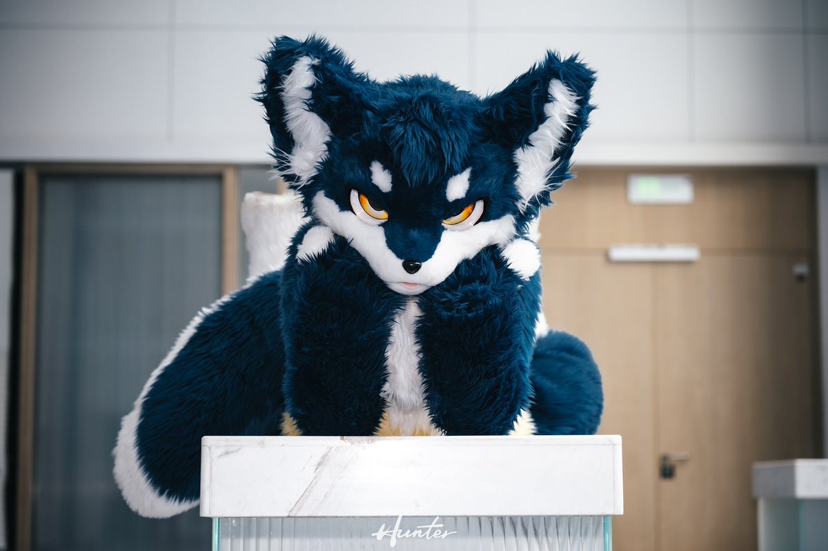 所以说，为什么叫我趴桌上？TAT
📷：<a href="/Hunter_TAT/">id丶Hunter</a> 
🥩：<a href="/hinekota/">ネコタ@NEKOTA➡Kemocon</a> 
#FursuitEveryday