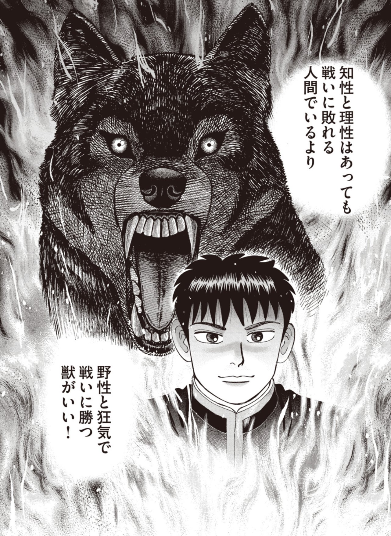 本庄敬先生 狼 サイン色紙 （本庄敬 - 描きたいのは料理より職人