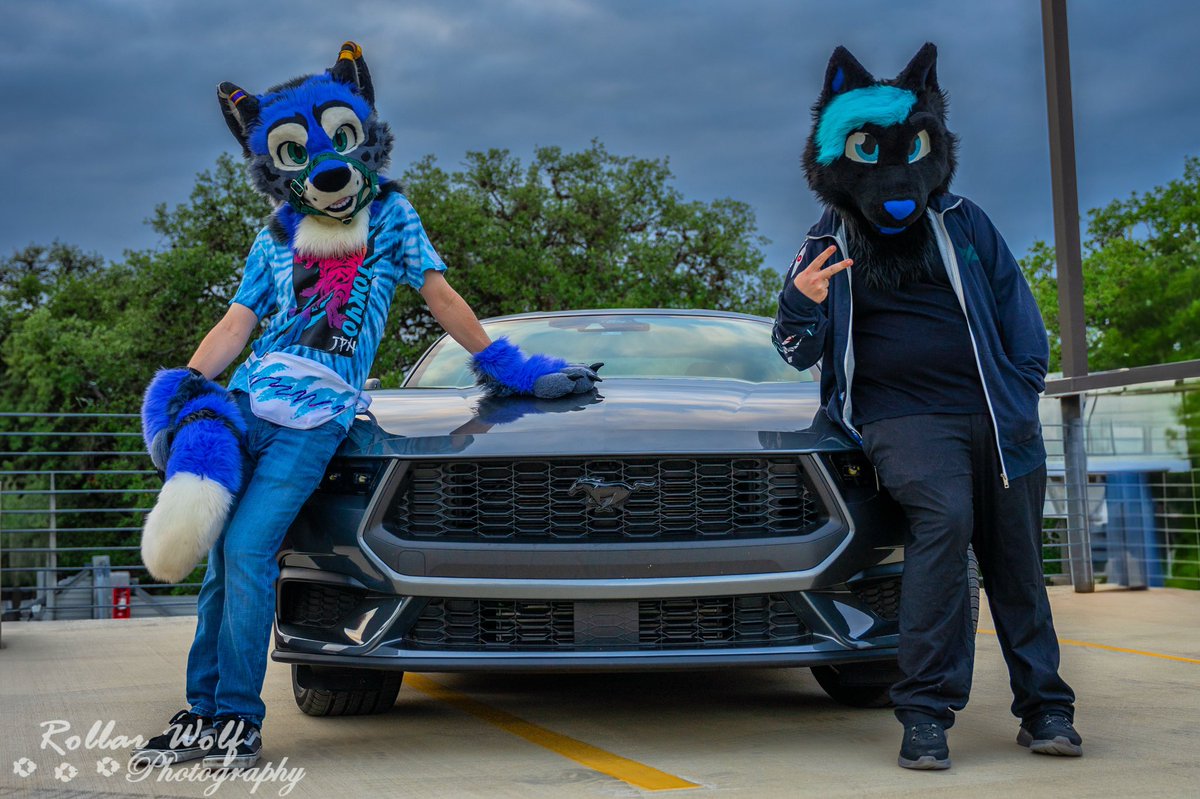 Take a ride on the feline side…
-
- Thank you <a href="/rollarwolf/">Rollar Wolf</a> for the great photos! 
- 
- @_NightPawzie_ 
- 
- 🎨 <a href="/FireWolfStudio/">Fire Wolf Studio LLC @MFF DD</a> 
-
- #furry #furryfandom #furrycommunity #fursuit #FursuitFriday #furry4life