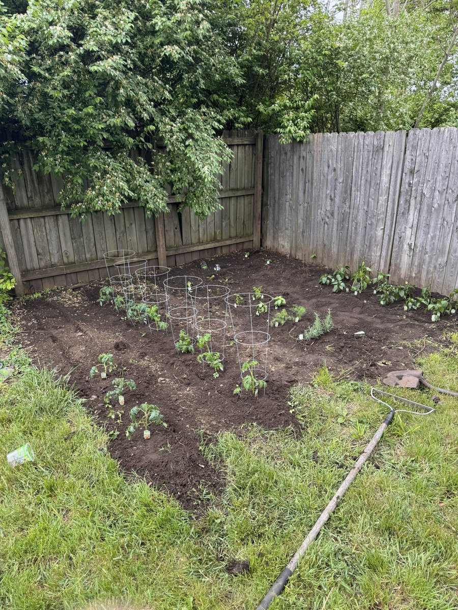 I really don’t know why I plant a garden on my father’s birthday every year.

Horribly placed, but the honeysuckle is being trimmed, so it’ll help.