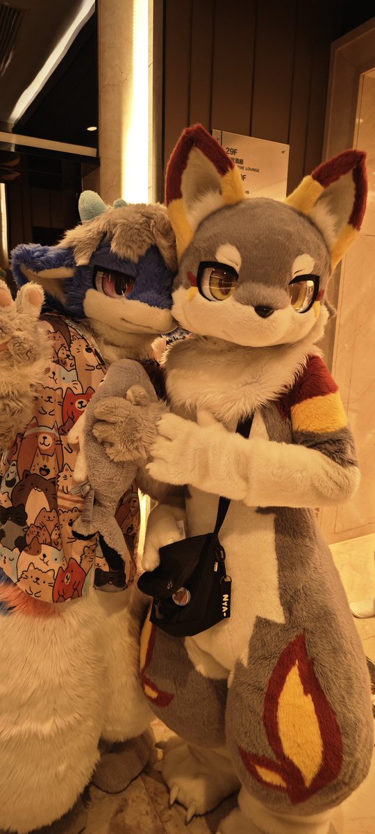 是合照捏 <a href="/Anya_oOkami/">杏也アンヤ🥞🔜UTFG</a> #Hifurry