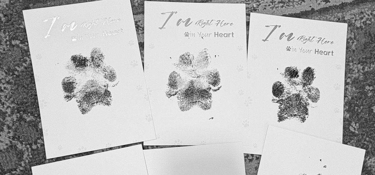 We did her paw prints today ❤️🐾