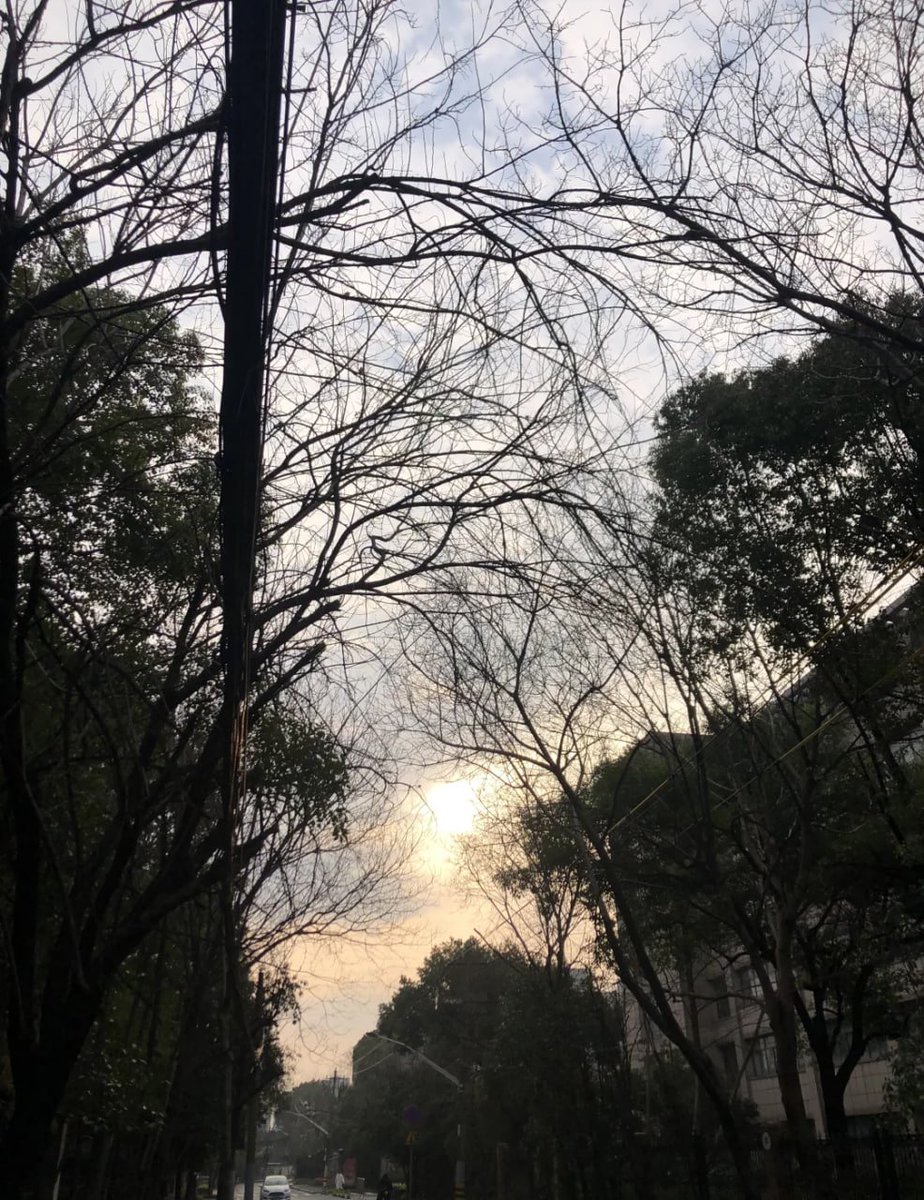 あやか (@rifziccc) on Twitter photo 