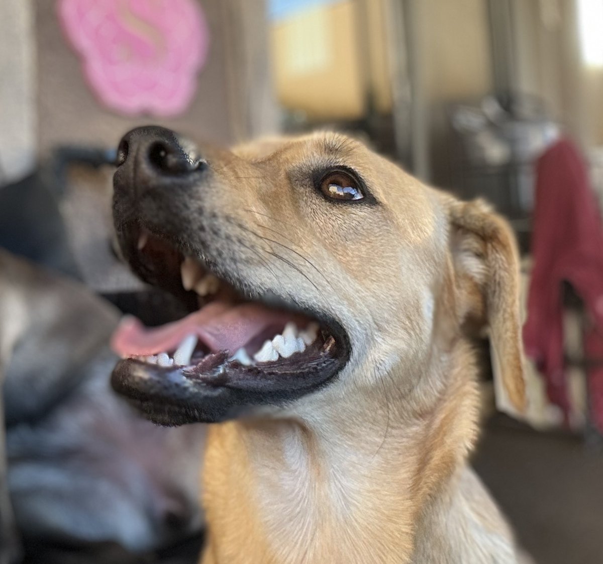 Just wanted to share my beautiful girl