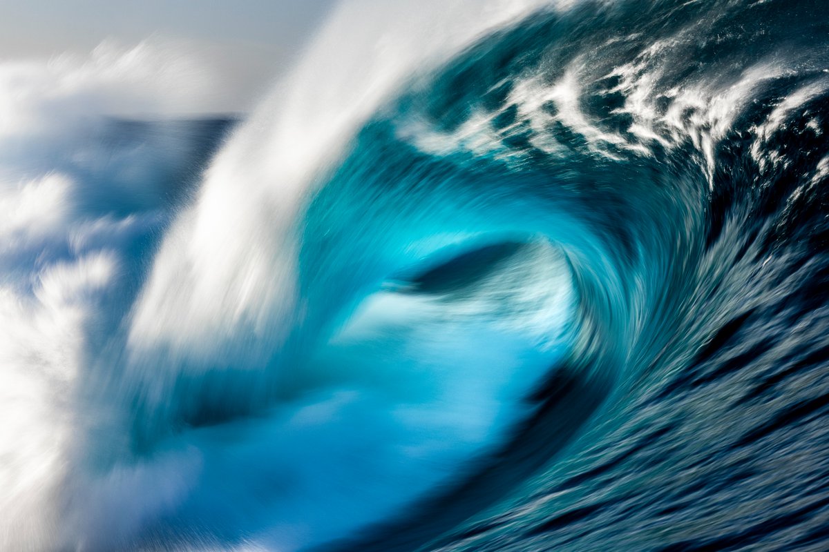 Kim Feast tweet media