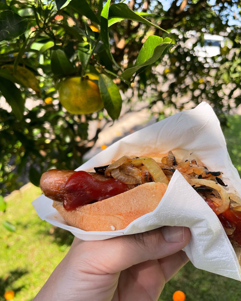 Democracy sausage day! ☀️🌭🗳️
Shh, don’t tell FMDS I cheated on them with another school!! 🙊😂 #voted #KPS