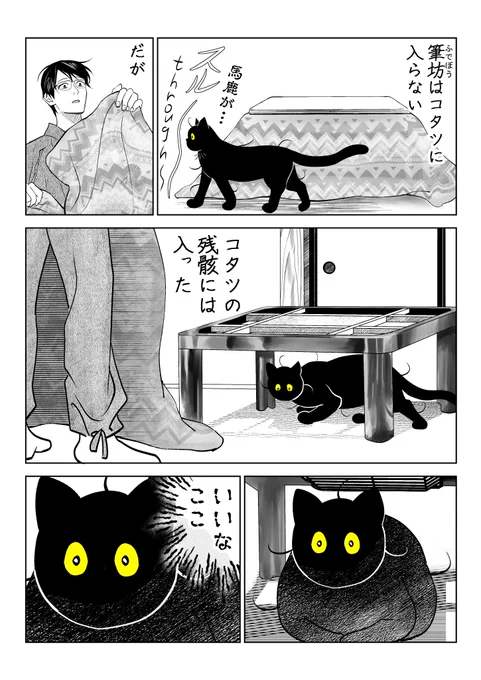猫「わからせてやるよ」 矜持編

(8/8) 