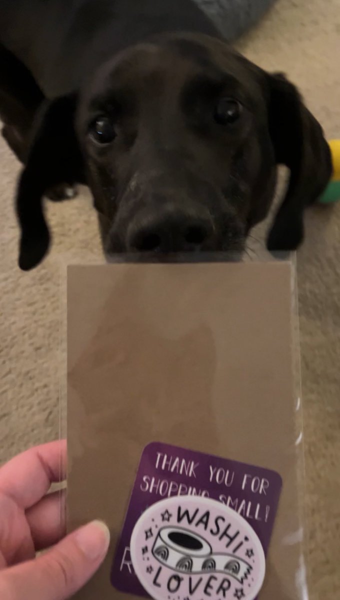 REFcreatives tweet media