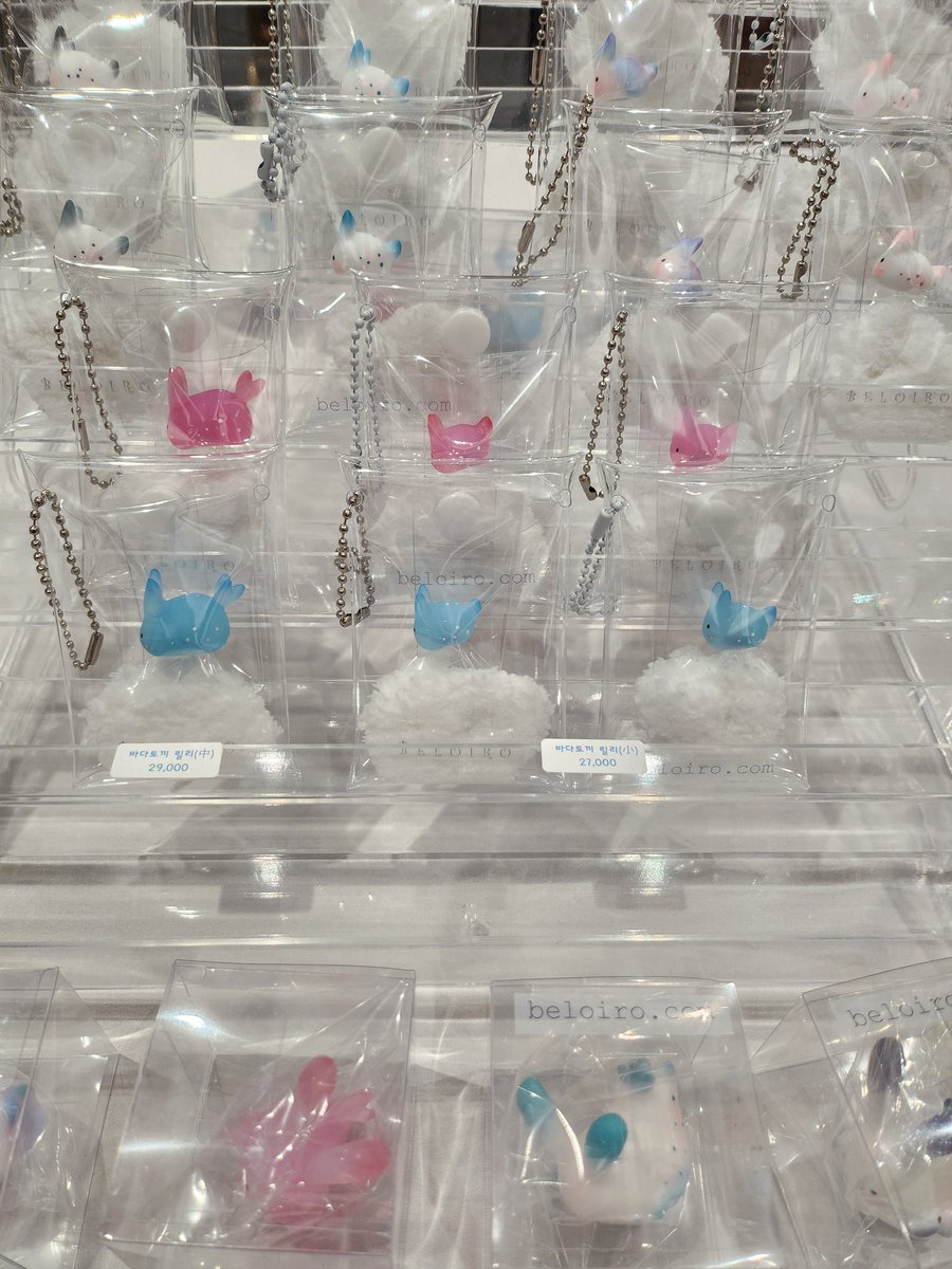 벨로이루 놀러오세요🤍