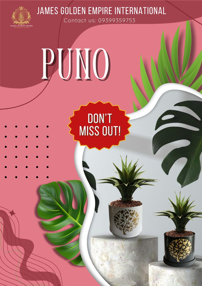 JGEIntl's tweet photo. Perfect for starting seeds and cuttings. Order yours today! 
For inquiries, please contact: 
📞 Phone: 0939 935 9753 
💬 WhatsApp: +63 922 861 2101 
#flowerpotsforsale #potsforsale #homedecoration #decorationideas #gardenpots #gardening #flowers #JamesGoldenEmpireInternational https://t.co/n5sVMNaOIi