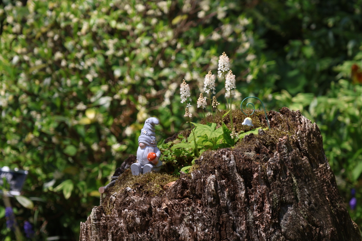 촉촉한 봄비가 내린 뒤, 물기를 머금고 더욱 싱그러워진 수목원의 모습입니다🤭🌿

[천리포수목원 5월 이벤트]
✅어린이 식물 탐정 퀴즈 이벤트 (5월 1일~6일, 어린이 탐방객 대상, 하루 선착순 100명 경품 증정)
✅공룡 찰리푸스모건과 사진 찍자 (5월 공휴일 및 주말 등장)