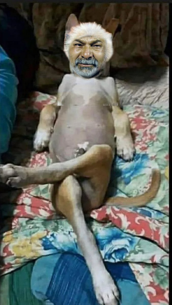 अब ये कौन किया 

#राकेश_डकैत_देशद्रोही_है