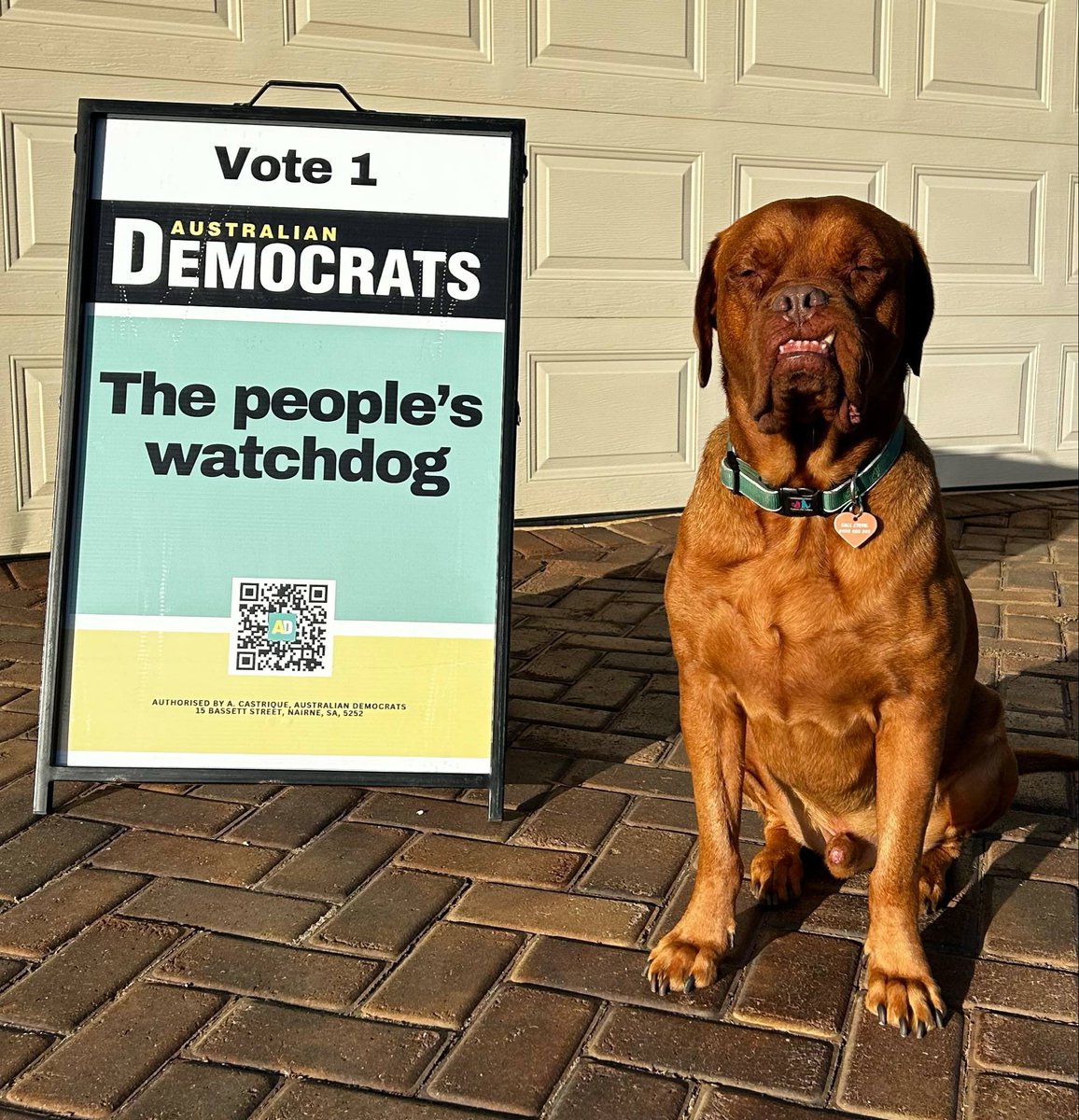 In the interests of transparency and accountability we have to report that the people’s watchdog had a slow start this morning, but we got there in the end 😂

#auspol