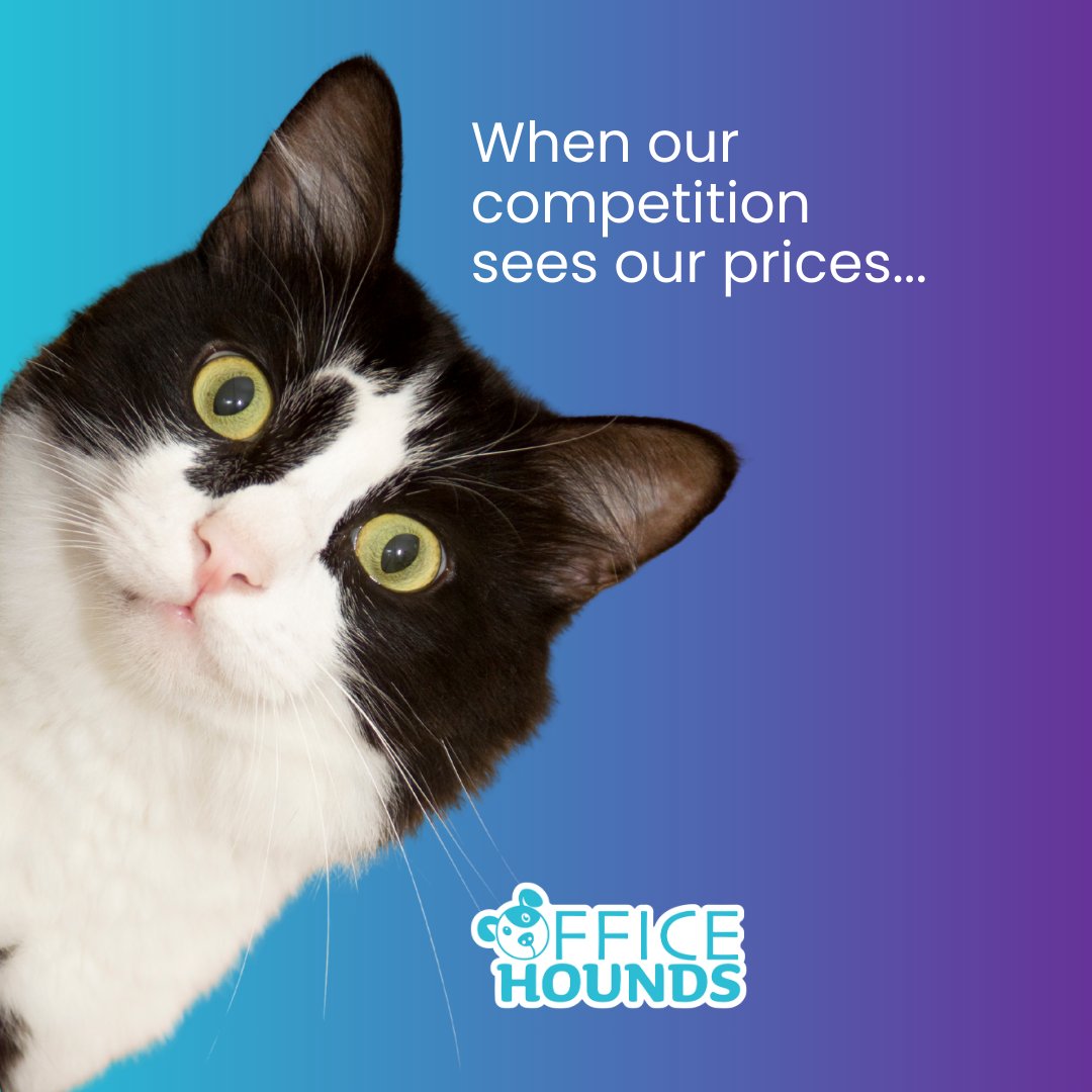 When our competition sees our social media marketing prices, they can't believe it. 
We have more experience but we offer unbeatable value for money. 

See our prices for yourself officehounds.com

#socialmediaagency #socialmediamarketingagency