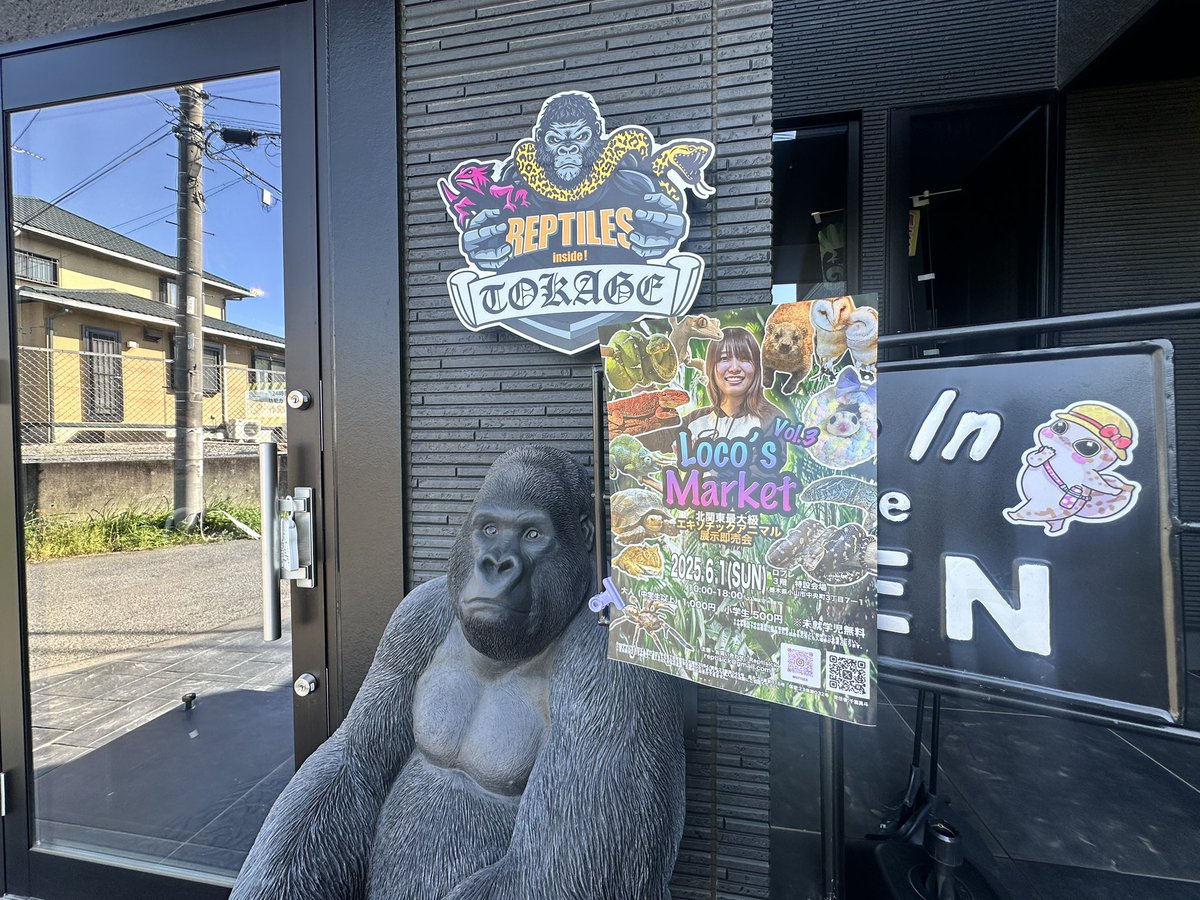 6／1開催のロコズマーケットのフライヤーがたくさん届いたのでお店に置きました(*´꒳`*)
#ロコズマーケット