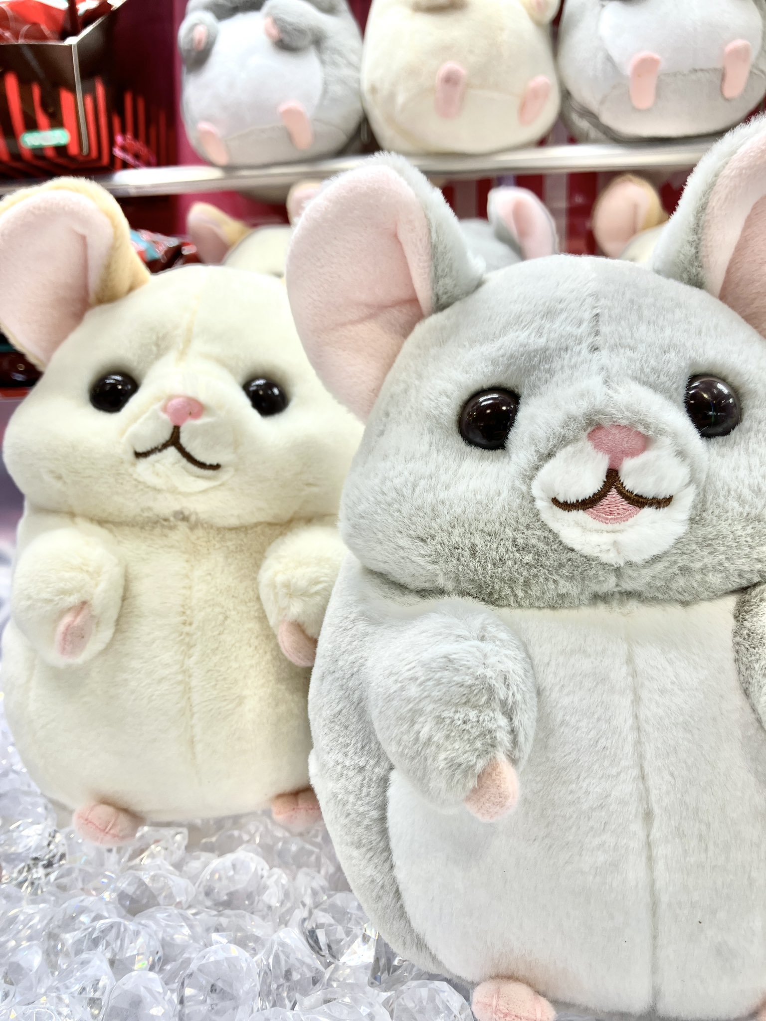 超最新作♥非売品レア♥タイトー限定♥チンチラのララちゃんころ