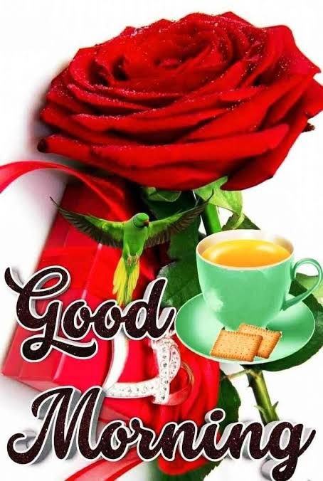 Good morning 

Enjoy more of such memes via bobble.in/memes