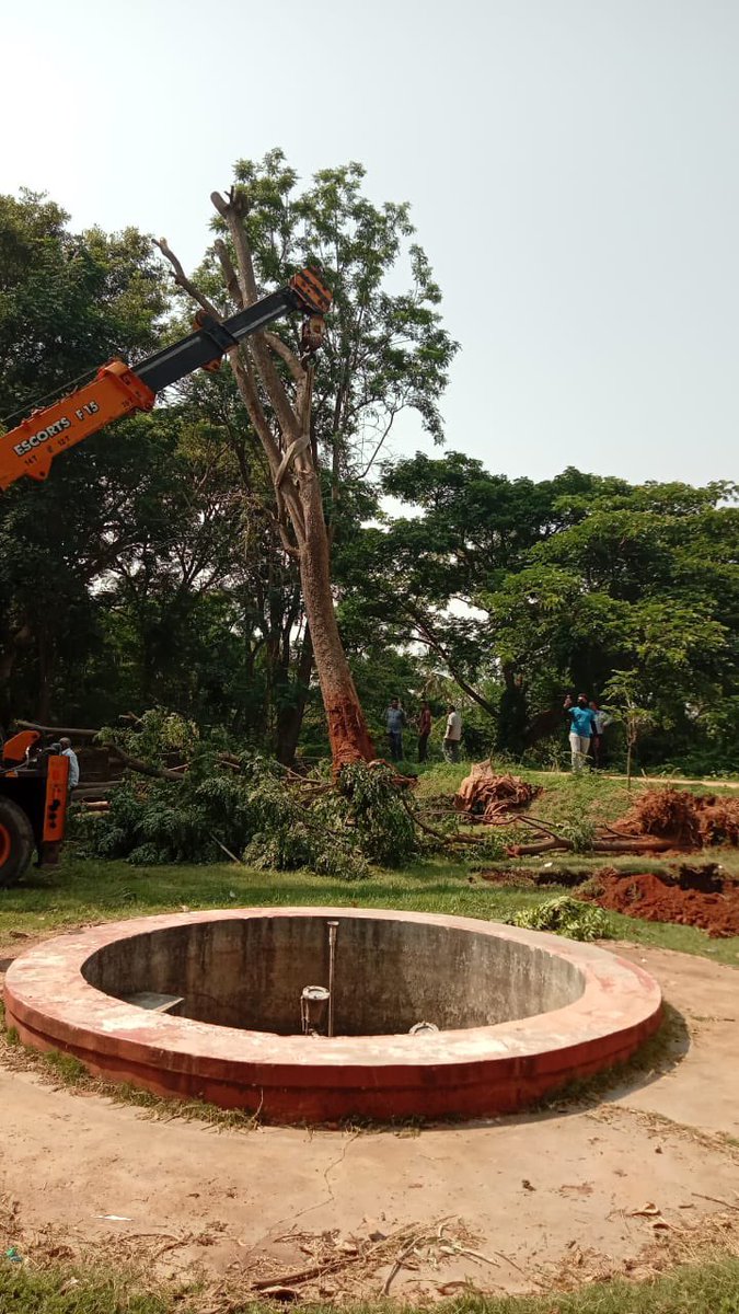 CLEAN MYSURU (@cleanmysuru) on Twitter photo 4 trees fallen in Kukkarahalli lake was replanted with the support of many people and university of mysuru. Great move to make authorities aware of solutions. <a href="/SwachhBharatGov/">Swachh Bharat Urban</a> <a href="/MysuruMemes/">Mysuru Memes</a> <a href="/mysurucitycorp/">ಮೈಸೂರು ಮಹಾನಗರ ಪಾಲಿಕೆ Mysuru City Corporation</a> <a href="/DCMysuru/">Deputy Commissioner Mysuru</a> 4 trees fallen in Kukkarahalli lake was replanted with the support of many people and university of mysuru. Great move to make authorities aware of solutions. <a href="/SwachhBharatGov/">Swachh Bharat Urban</a> <a href="/MysuruMemes/">Mysuru Memes</a> <a href="/mysurucitycorp/">ಮೈಸೂರು ಮಹಾನಗರ ಪಾಲಿಕೆ Mysuru City Corporation</a> <a href="/DCMysuru/">Deputy Commissioner Mysuru</a>