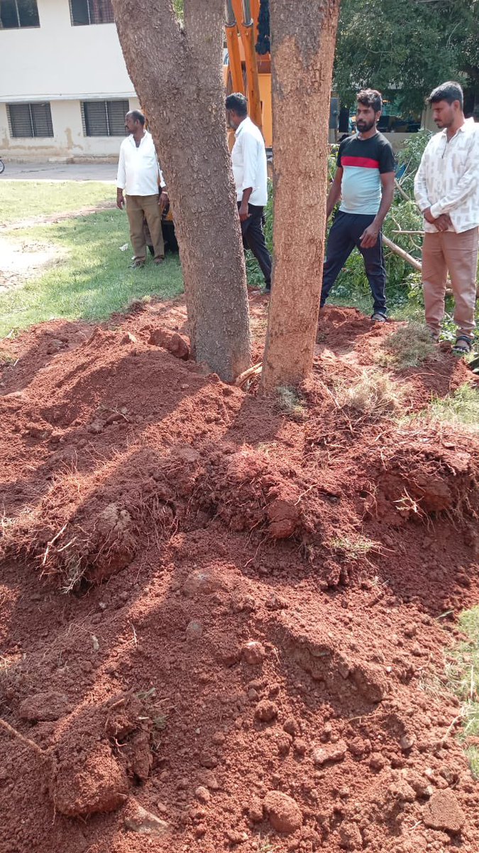 CLEAN MYSURU tweet media