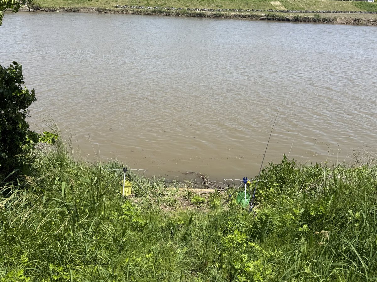 今日は恒例のうなぎ釣り。
去年は身体の都合で1年空きましま。
いつもの場所は草が厚く断念💦ちょい上流、昨日の雨で激濁りですがウナギには良いと言うらしいけど...