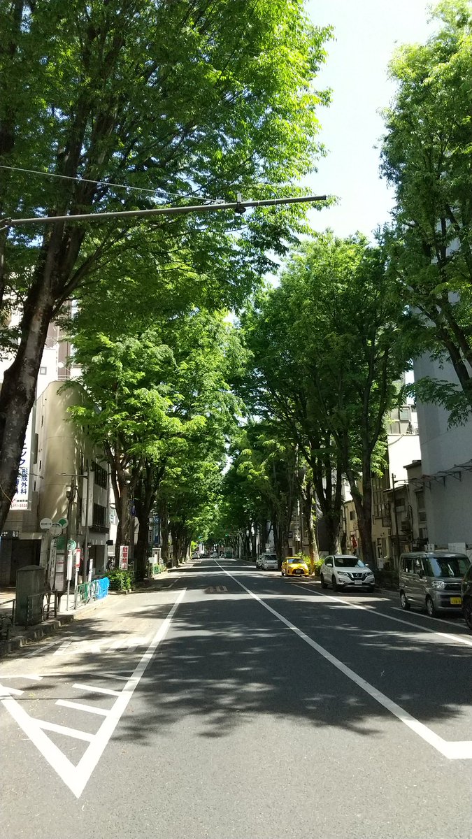 Fresco_Espresso's tweet image. 空気も澄んで新緑が綺麗ですね。
GW後半、お出掛けの方は最高の日和になりました。皆さま良いお休みを～☺️