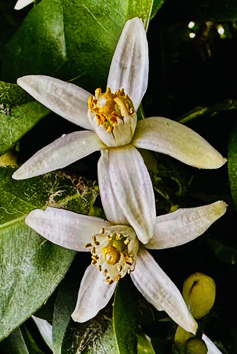 educationtr's tweet image. #May3rd🌍