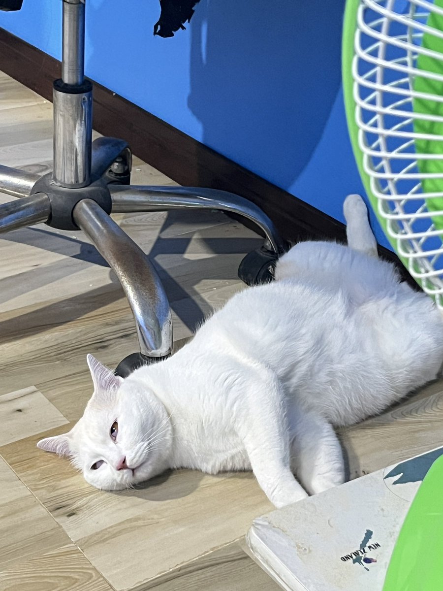 Crazycrow99's tweet image. ตอนตื่น ver หลับ 5555