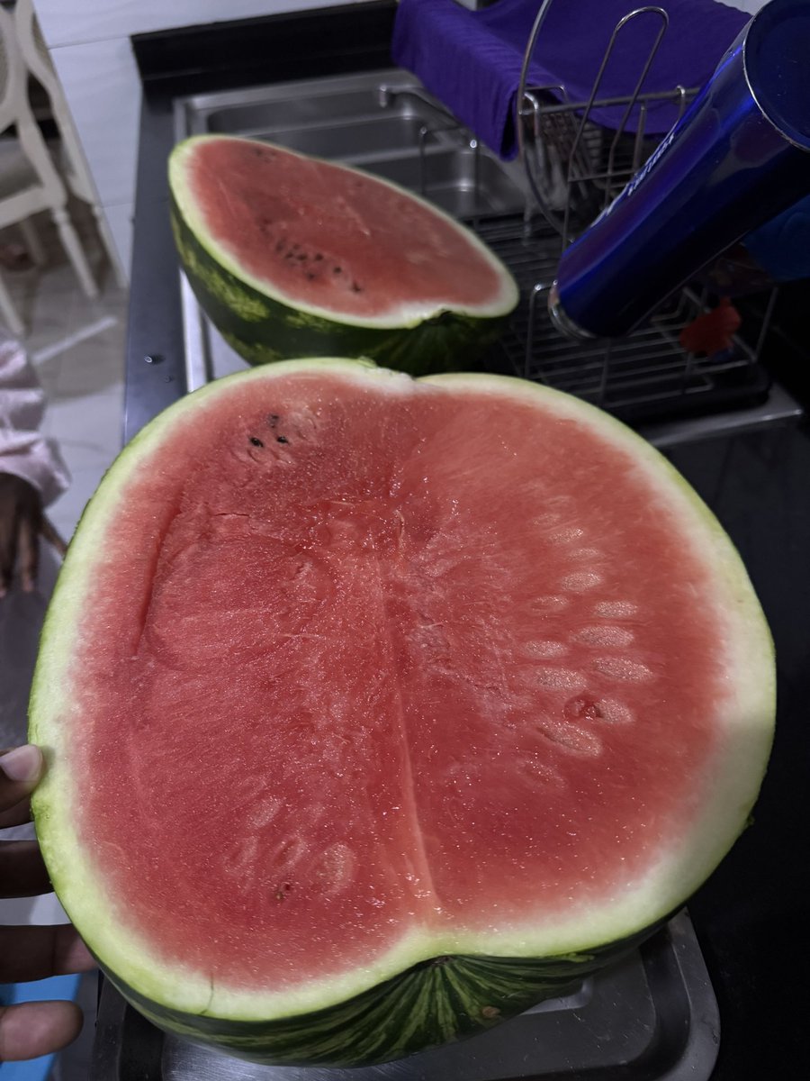 I farm, the best melons. Sweetness reloaded