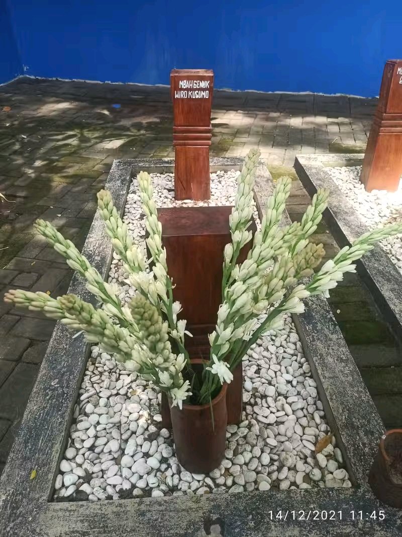 Makam RADEN WIRO KUSUMO kini namanya berubah jadi SAYAID AWADH bin HASAN bin YAHYA 

Namanya jelas2 jawa dikasih SAYYID padahal nama akhirnya pakai klan HABIB
HABIB kini memakai SAYYID agar diakui sebagai DZURIAH NABI, karena mereka terdesak TIDAK ADA dzuriyah NABI bergelar HABIB