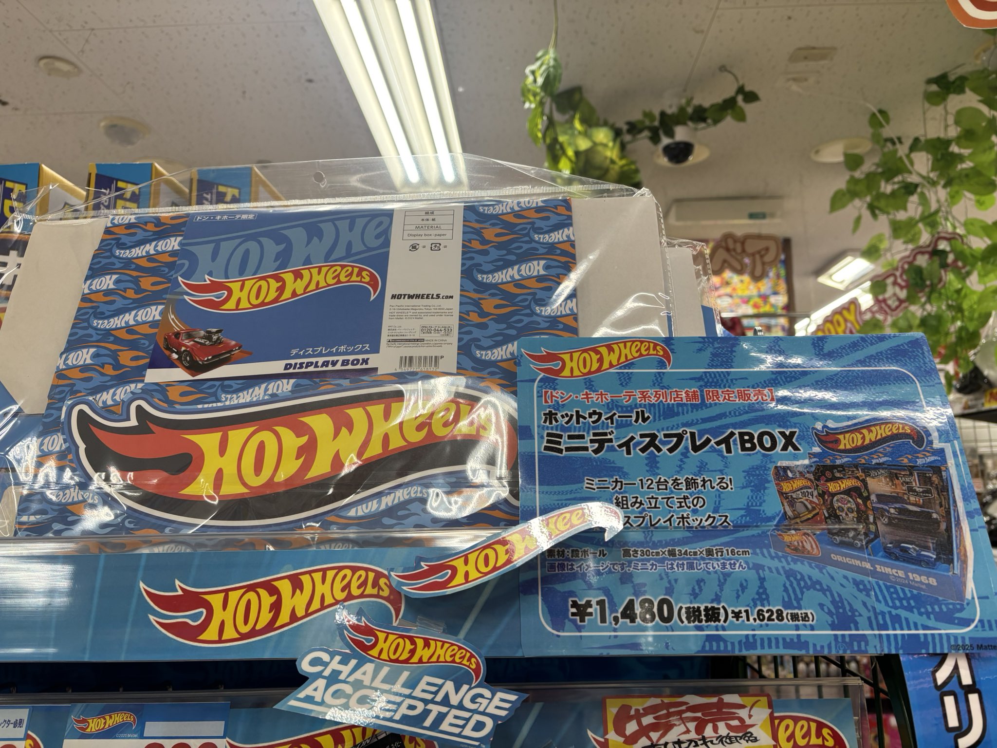 新品未開封　ホットウィール　ディスプレイ　ドンキ　限定 置き場所と資金があればマストバイ！ホットウィールの