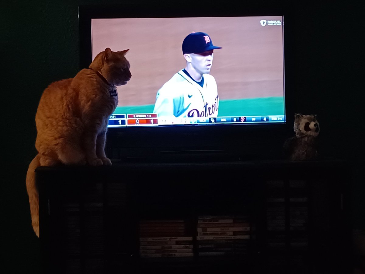 Brad Heineman (@lenaweeheineman) on Twitter photo Just a few pictures of Murphy watching some <a href="/tigers/">Detroit Tigers</a> baseball on <a href="/FanDuelSN_DET/">FanDuel Sports Network Detroit</a>. Just a few pictures of Murphy watching some <a href="/tigers/">Detroit Tigers</a> baseball on <a href="/FanDuelSN_DET/">FanDuel Sports Network Detroit</a>.