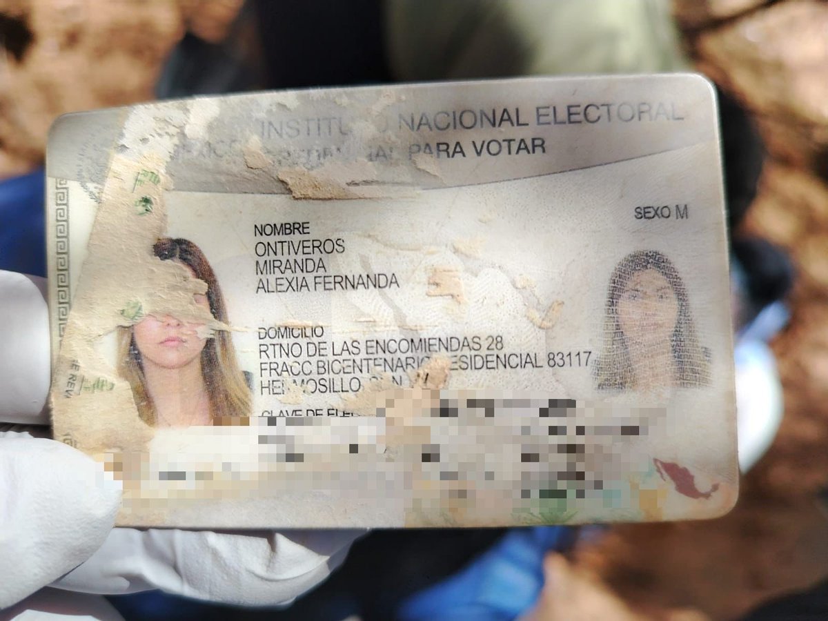 MadresBuscan's tweet photo. Hoy encontramos 6 cuerpos, todos ocultos entre la tierra y el dolor con que se fueron de este mundo. Estábamos caminando sobre un panteón clandestino.

https://t.co/GZ9AmAnXtp https://t.co/8wtg69SKkz