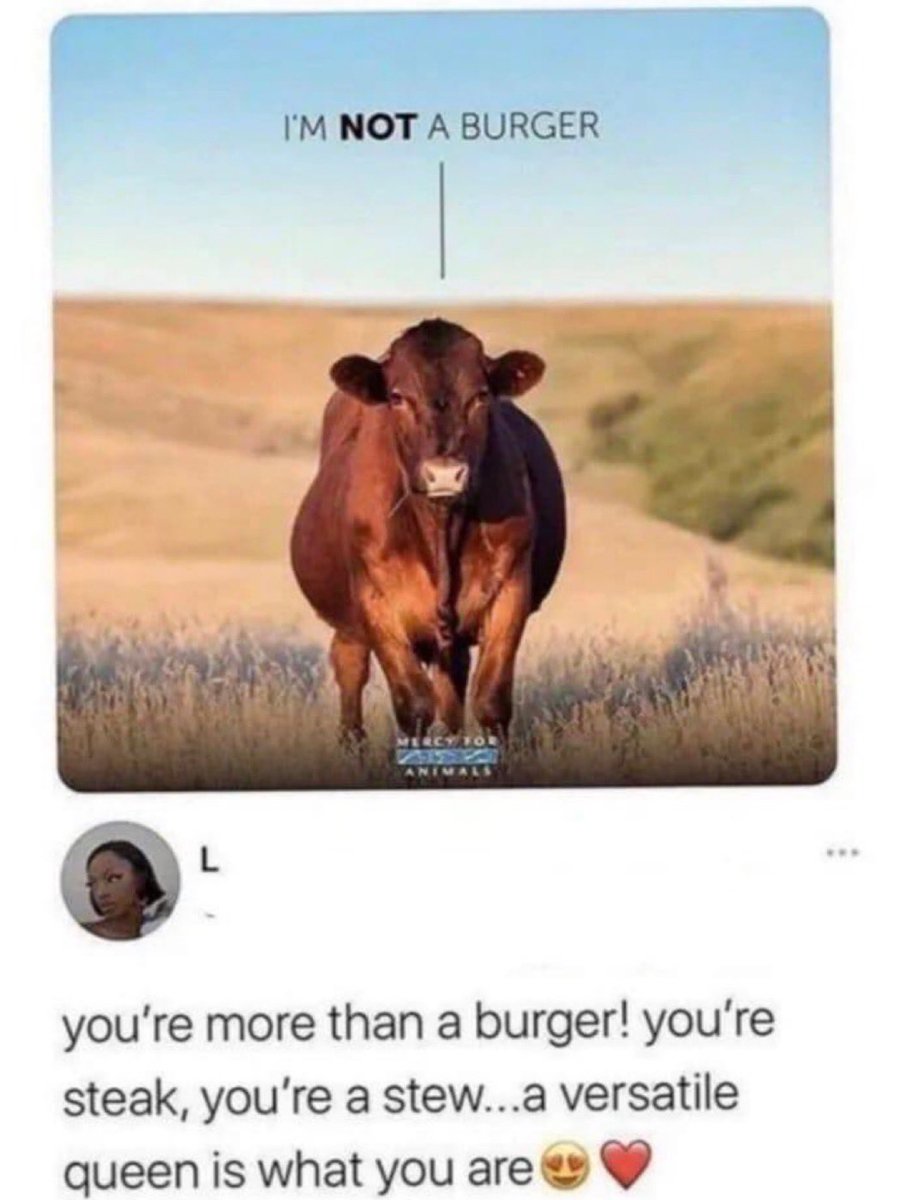 NoContextHumans's tweet image. 