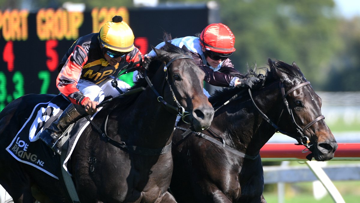 NEWS: The Andrew Forsman-trained son of Savabeel, Force Of Nature, continued his rich vein of form with victory in the Modern Transport Group (1200m) at Te Rapa.
racingnews.co.nz/force-of-natur…