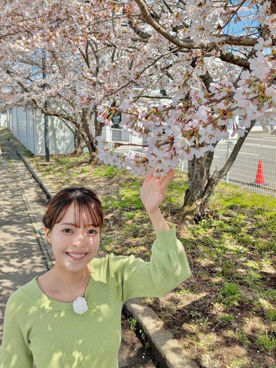 Nmeeeei's tweet photo. 2025年4月19日
サタファン衣装✨
トップス　MIIA
スカート　LAISSE PASSE レッセパッセ

放送終わった後に、工藤Pが桜餅くれた😚🌸おいしかったぁ🌸
#サタデーファンキーズ
#アールカワイイ
#rcawaii
#芽の衣装 https://t.co/W3dia4rK4K