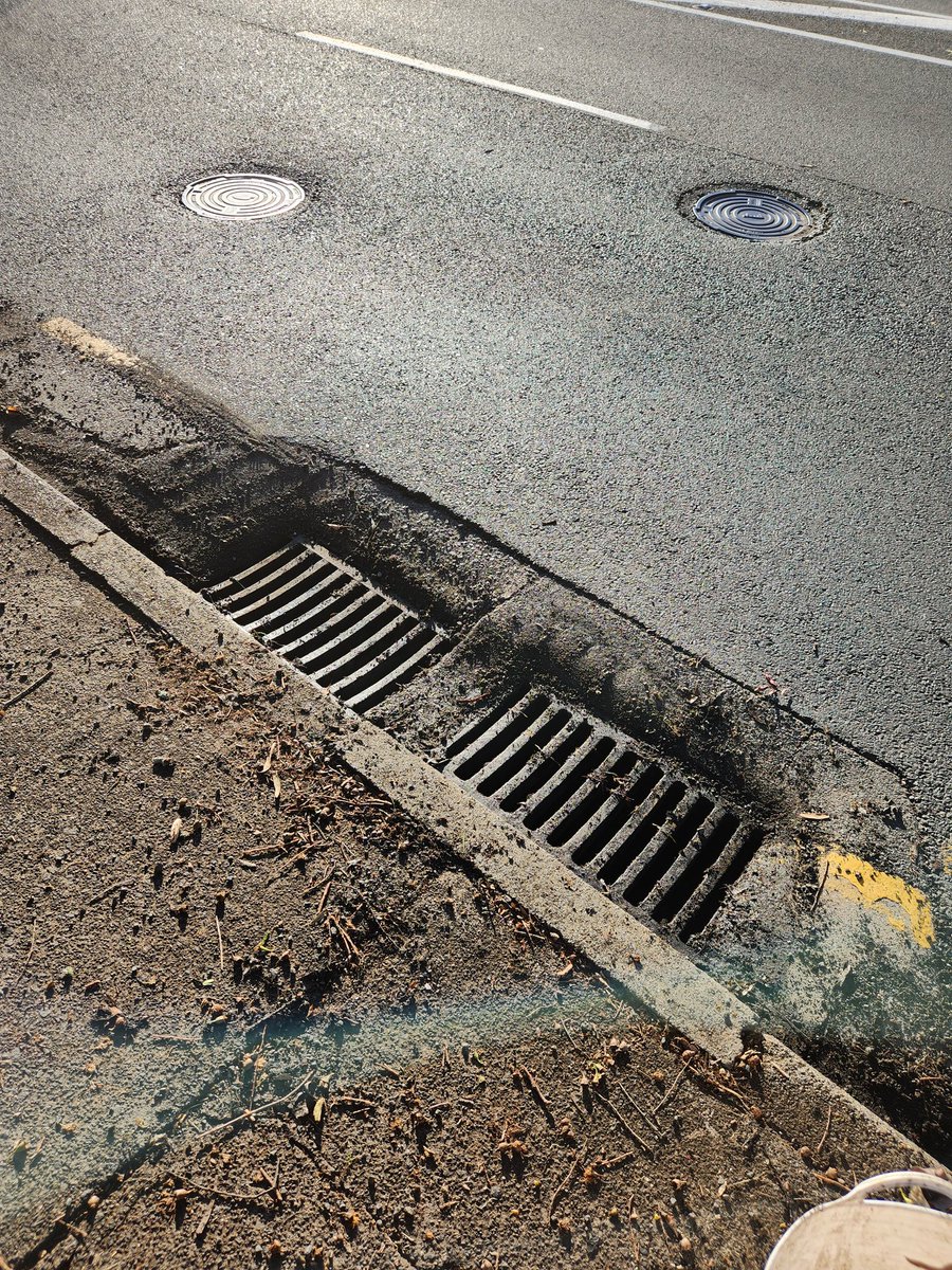 Lewis Holden 🇺🇦 (@lewisholdennz) on Twitter photo Hey <a href="/MayorWayneBrown/">Mayor Wayne Brown</a> and <a href="/RichardHills_/">Richard Hills</a> instead of screwing with the zoning rules can you focus on getting Auckland Council to do basic things like clearing drains so storm water stops flooding into our houses. Also where do I send my invoice? Hey <a href="/MayorWayneBrown/">Mayor Wayne Brown</a> and <a href="/RichardHills_/">Richard Hills</a> instead of screwing with the zoning rules can you focus on getting Auckland Council to do basic things like clearing drains so storm water stops flooding into our houses. Also where do I send my invoice?