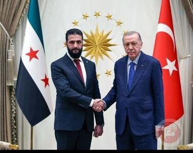 دو سگ در یک قاب