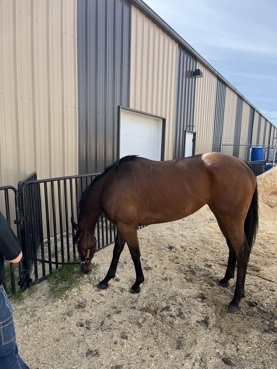 ChadSwiftMT tweet media