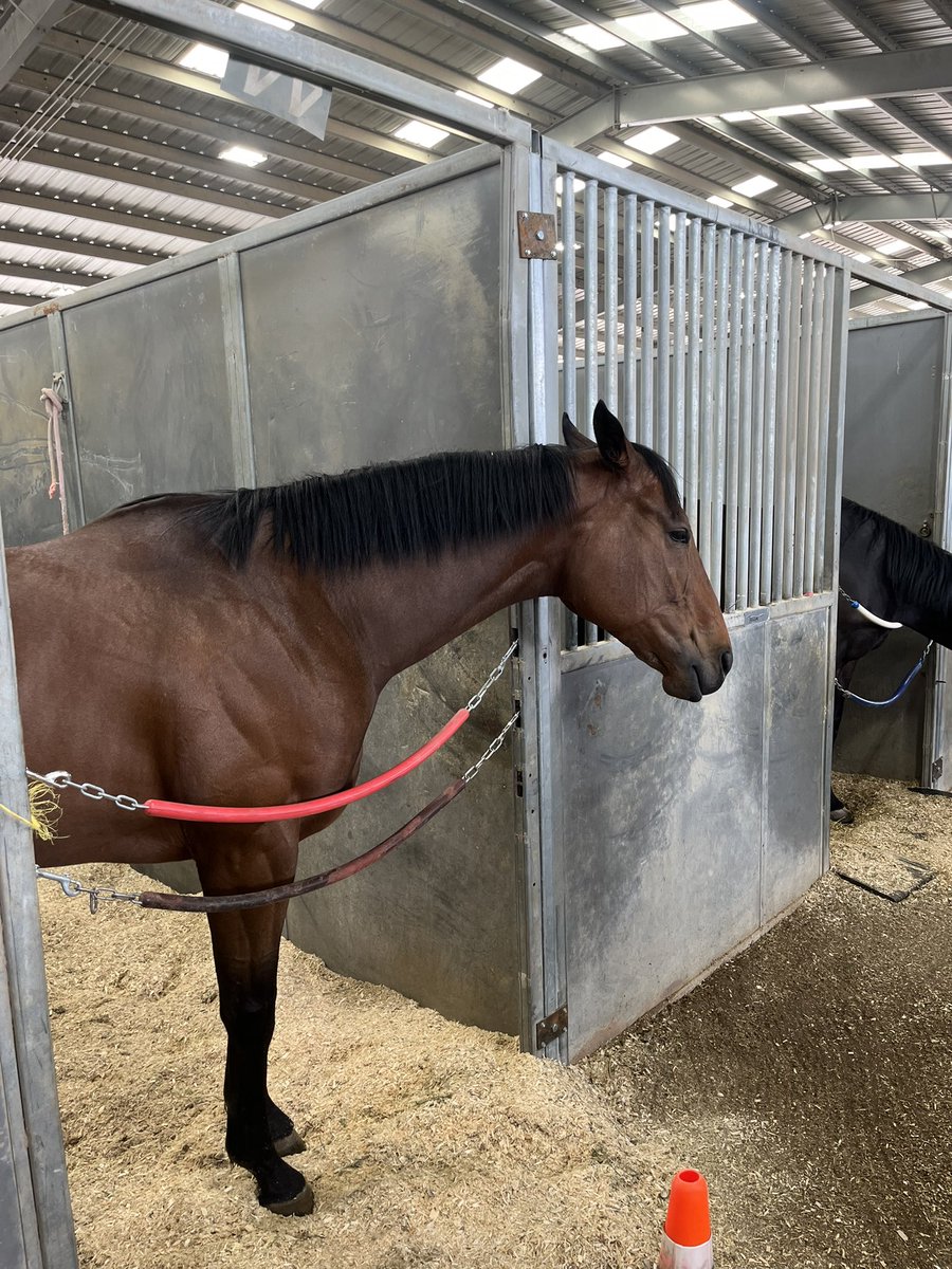 ChadSwiftMT tweet media