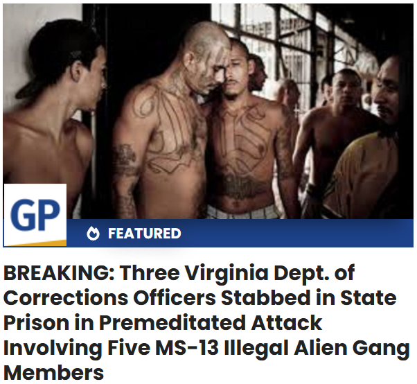 I'm sure leftists will have a GoFundMe set up for the five illegal gang members in no time
