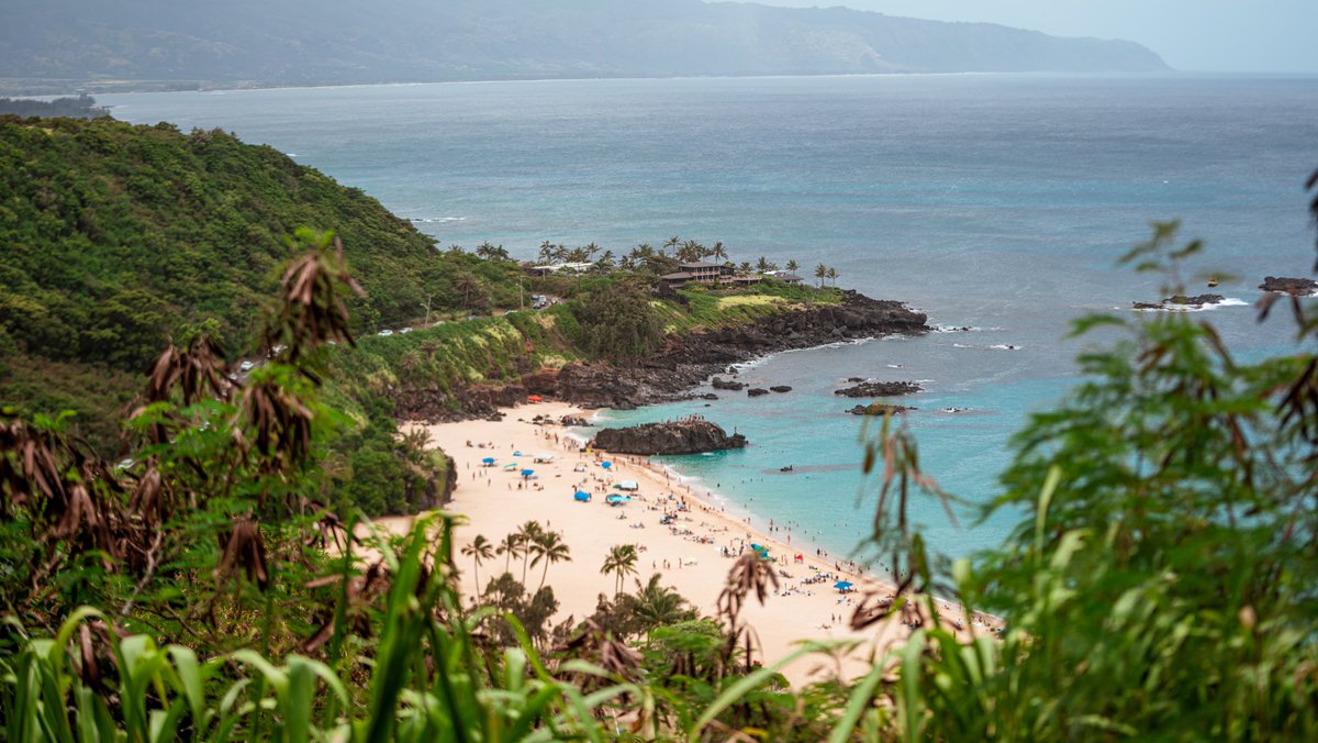 Where else would you rather be? 🏝️🤙

#BRADDAHHOOD x #GoBows