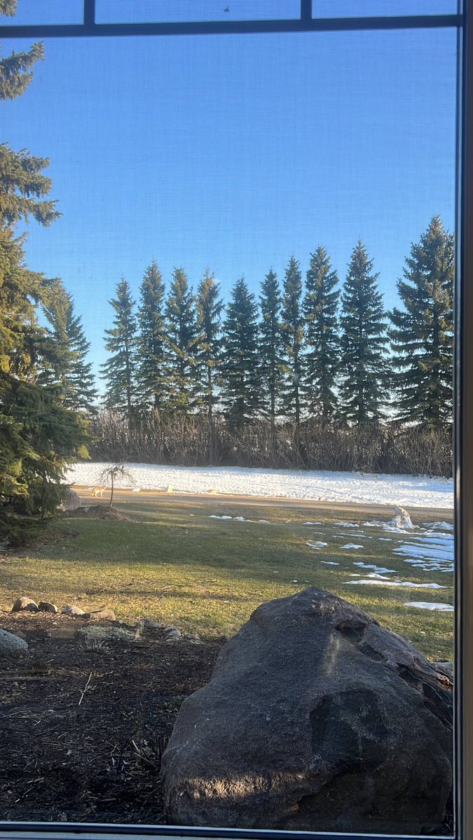 Marlin Stutt tweet media