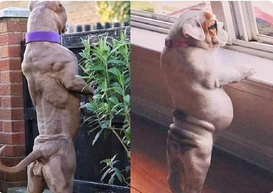 Yo cuando corría
-
Yo después de que se me chingó la rodilla
😕🥴
#MeEncantaCorrer
🏃🏻‍♀️‍➡️🏃🏻‍♂️‍➡️