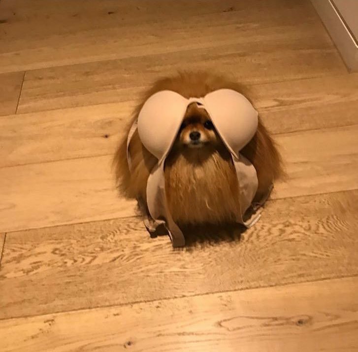 LALALA I can’t hear you!!!