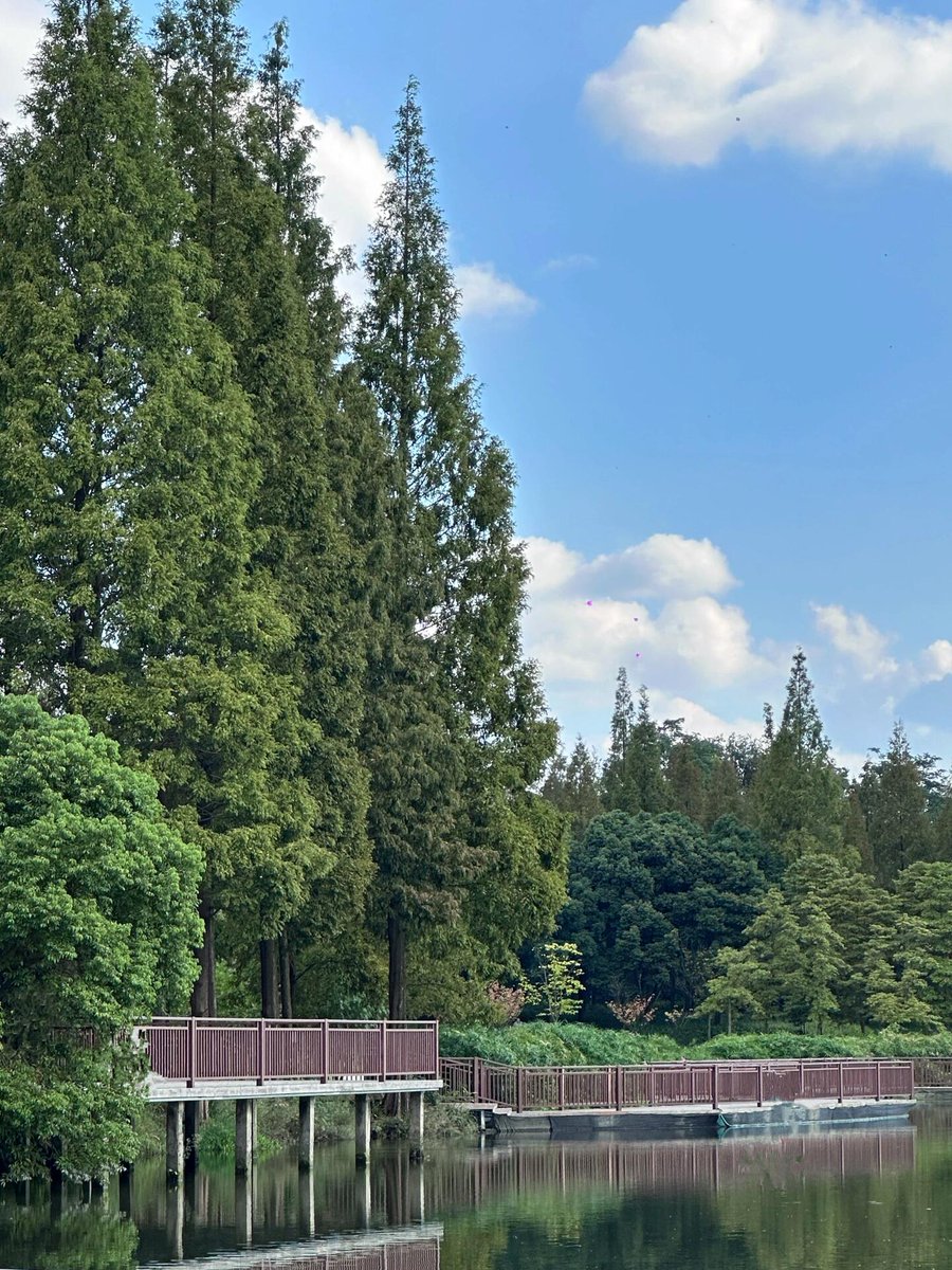 DCecHunts's tweet image. 高貴な人々は、私たちに方向性と暖かさをもたらしてくれる、輝く星や暖かい春風のようなものです。😊
もしかしたら、同じ考えを持つ友人かもしれません。あるいは偶然出会った見知らぬ人かもしれません。💖